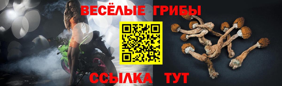 Междуреченск  Псилоцибиновые грибы ЛСД  Галлюциногенные грибы Magic Shrooms  Вход с VPN 